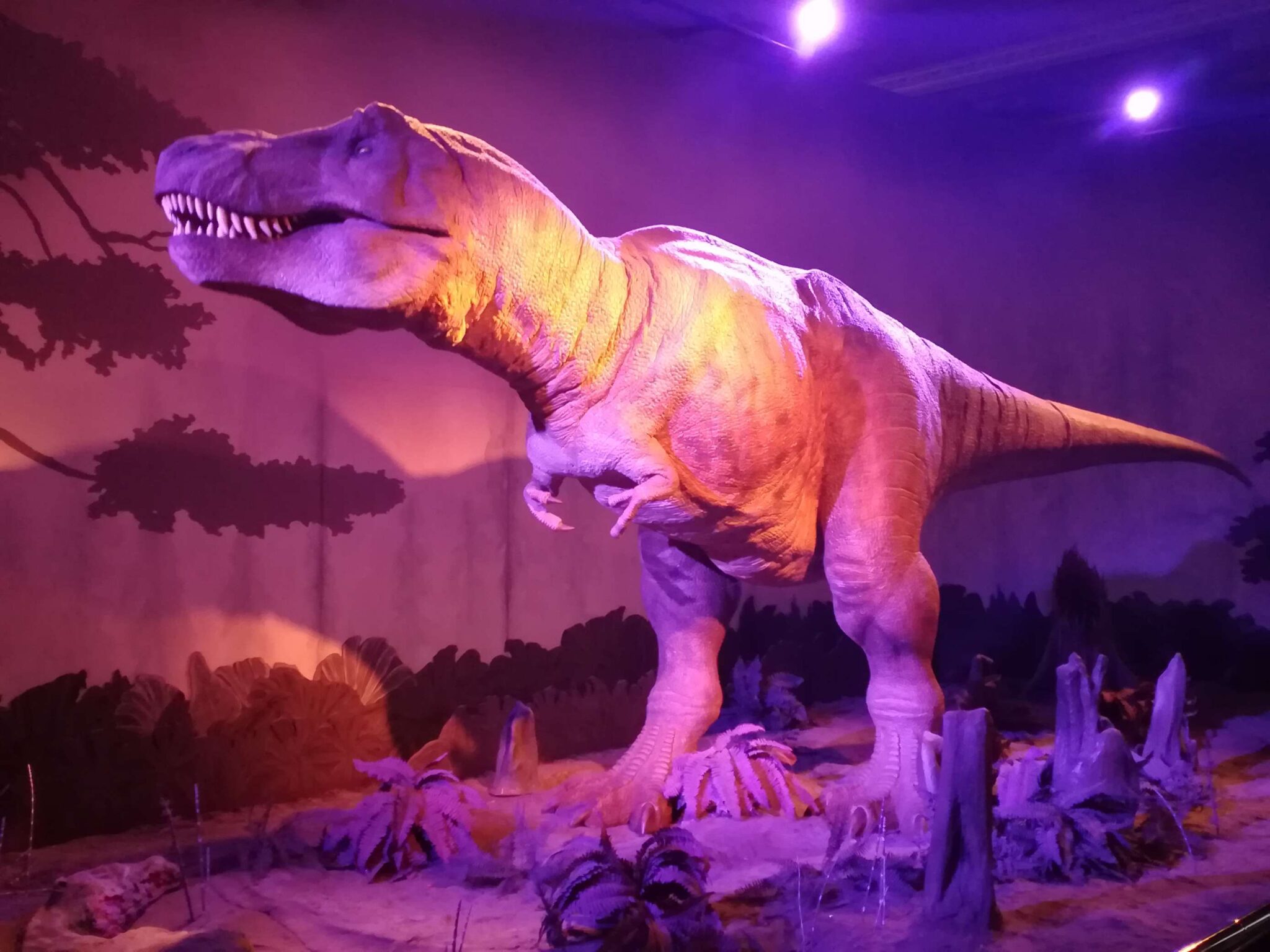 Discovering London’s Natural History Museum Family Twist