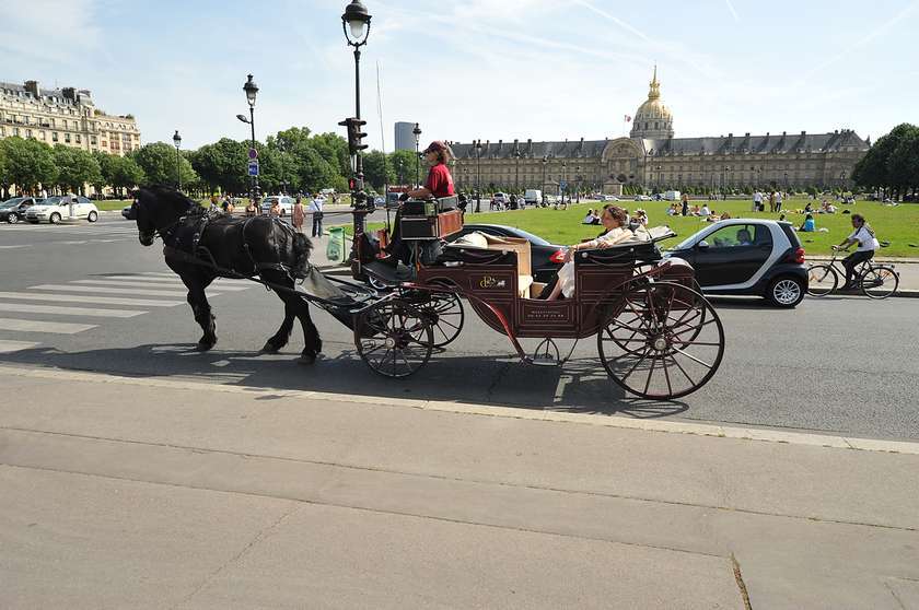 Fiacre, Carriage, Horse-Drawn, Paris