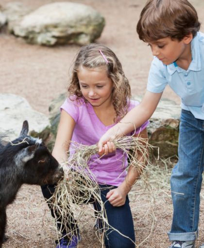 A Day at the Farm in Tuscany