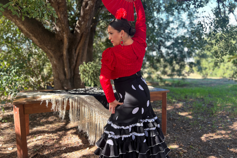 Learning Flamenco With A Professional