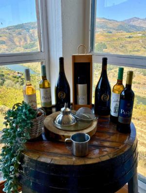 Wine and Tasting Experience in Douro Valley