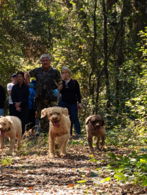 Pugliese Truffle Hunt and Cooking Class
